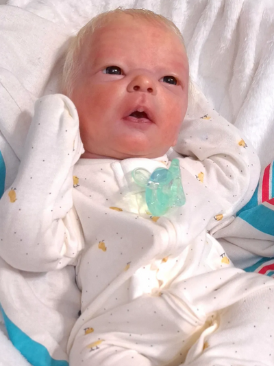 Darren Awake – 17" Reborn Doll with Certificate of Authenticity